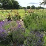 Charbonnaud Holiday home